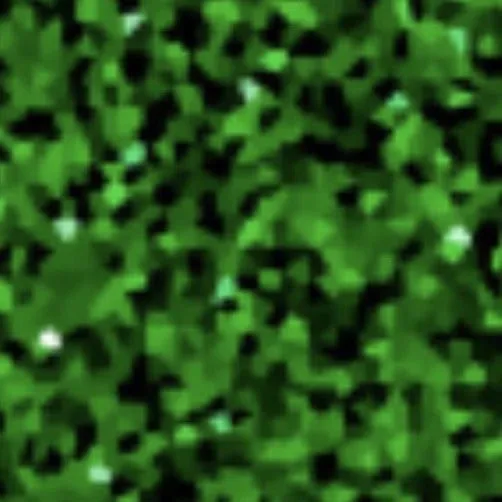 SISER GLITTER 2