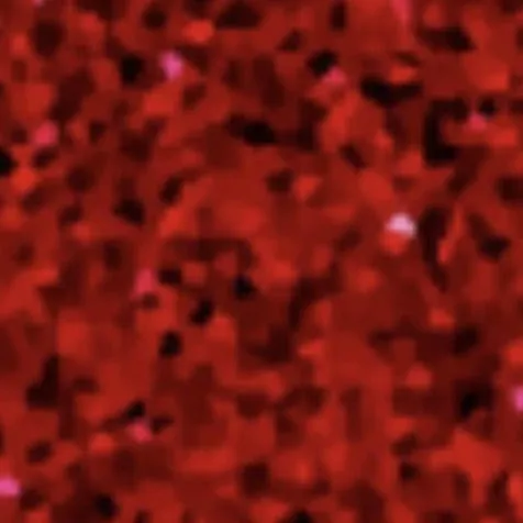 SISER GLITTER 2