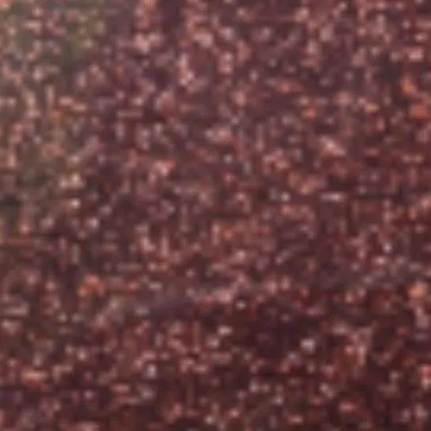 SISER GLITTER 2